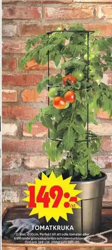 ICA Maxi Tomatkruka erbjuda