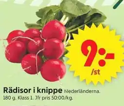 ICA Supermarket Rädisor i knippe erbjuda
