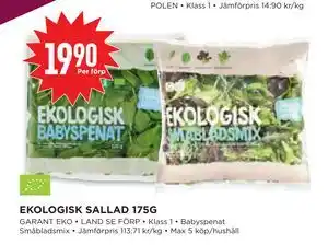 EKOLOGISK SALLAD 175G