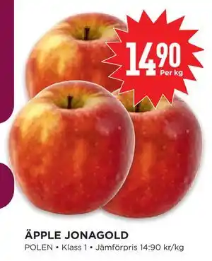 ÄPPLE JONAGOLD