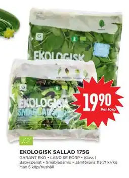 Willys EKOLOGISK SALLAD 175G erbjuda