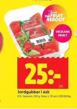 ICA Kvantum Jordgubbar i ask erbjuda
