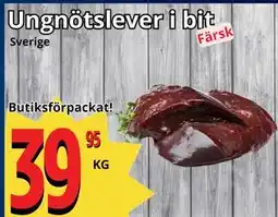 Supergrossen Ungnötslever i bit erbjuda