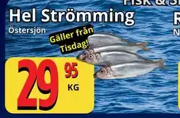 Supergrossen Hel Strömming erbjuda