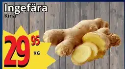 Supergrossen Ingefära erbjuda