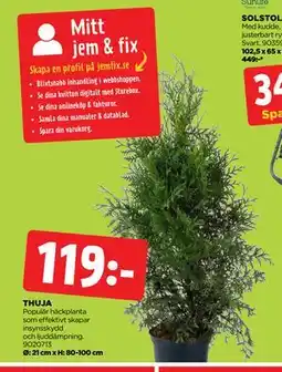 Jem&Fix THUJA erbjuda