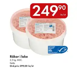 Snabbgross FELDTS Räkor i lake erbjuda