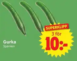 Nya Pulsen Gurka erbjuda