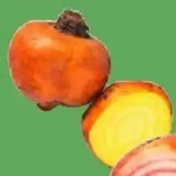 Nya Pulsen Gulbetor erbjuda