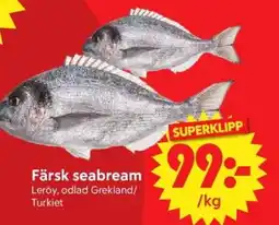Nya Pulsen Färsk seabream erbjuda