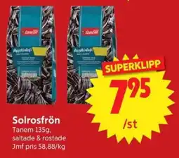 Nya Pulsen TANEM Solrosfrön erbjuda