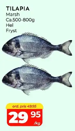Matrix Butikerna Tilapia erbjuda