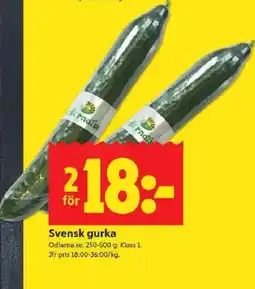 ICA Kvantum ODLARNASE Svensk gurka erbjuda