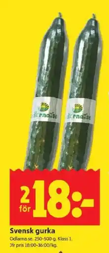 ICA Kvantum ODLARNASE Svensk gurka erbjuda