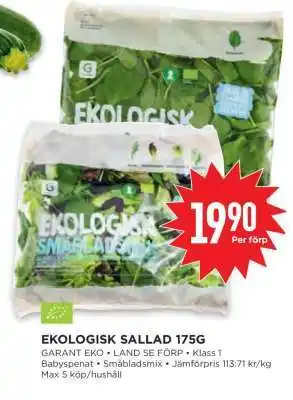 Willys EKOLIGISK SALLAD 175G erbjuda