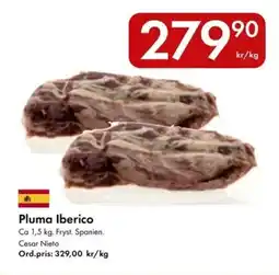 Snabbgross Pluma Iberico erbjuda