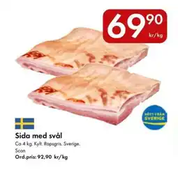 Snabbgross Sida med svål erbjuda
