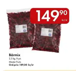 Snabbgross MASTER FRUITS Bärmix erbjuda