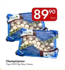 Snabbgross LITAUEN Champinjoner erbjuda