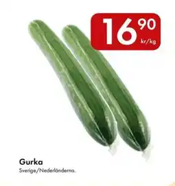 Snabbgross Gurka erbjuda