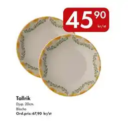 Snabbgross Tallrik erbjuda