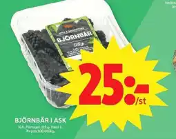 ICA Maxi ICA Björnbär i ask erbjuda