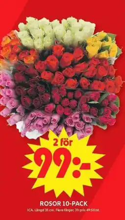 ICA Maxi Rosor 10-pack erbjuda