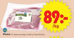 ICA Supermarket ICA Pluma erbjuda