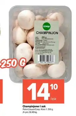Coop Extra Champinjoner i ask erbjuda