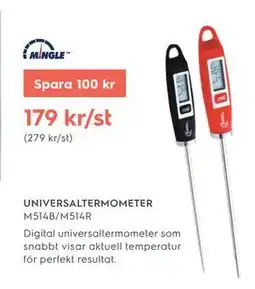 Electrolux Home UNIVERSALTERMOMETER erbjuda