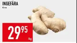 Matdax Ingefära erbjuda