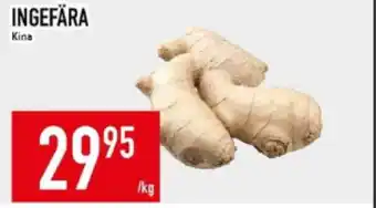 Matdax Ingefära erbjuda