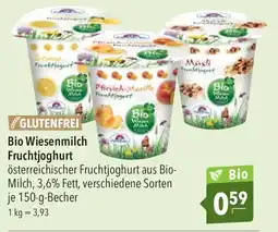 Citti Bio Wiesenmilch Fruchtjoghurt erbjuda