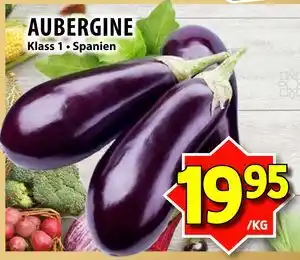 AUBERGINE