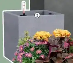 Hornbach "Canto Color" erbjuda