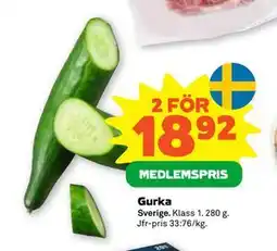 Stora Coop Gurka, Medlemspris erbjuda