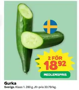 Coop Gurka, Medlemspris erbjuda