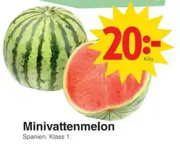 Matöppet Minivattenmelon erbjuda