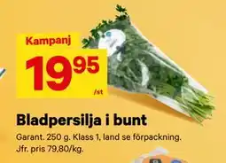 City Gross Bladpersilja i bunt erbjuda