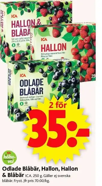 ICA Odlade Blåbär, Hallon, Hallon & Blåbär 250g