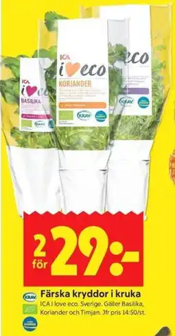 ICA Kvantum ICA Färska kryddor i kruka erbjuda