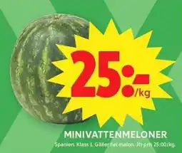 ICA Maxi Minivattenmeloner erbjuda