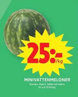 ICA Maxi Minivattenmeloner erbjuda