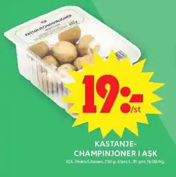 ICA Maxi ICA Kastanje- champinjoner i ask erbjuda