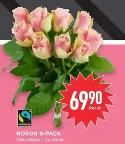 Willys Rosor 9-pack erbjuda