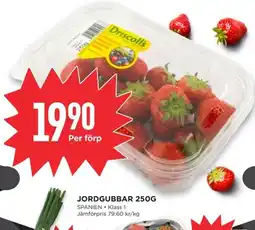 Willys Jordgubbar erbjuda