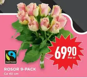 Willys Hemma ROSOR 9-PACK erbjuda