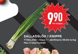 Willys Hemma SALLADSLÖK I KNIPPE erbjuda
