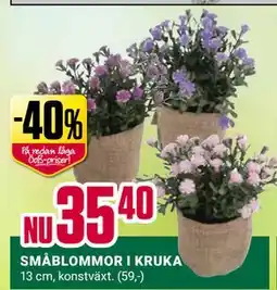 ÖoB SMÅBLOMMOR I KRUKA erbjuda