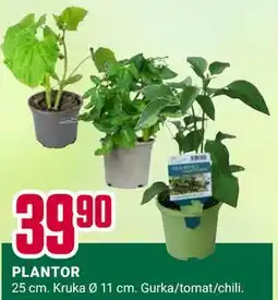 ÖoB PLANTOR erbjuda